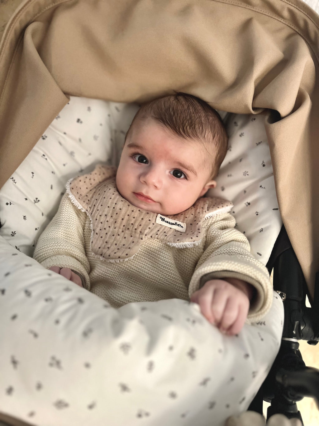 Brown Polka Dot Bib